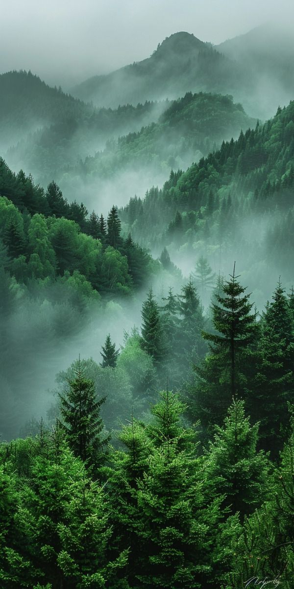 Eco green event event cover image
